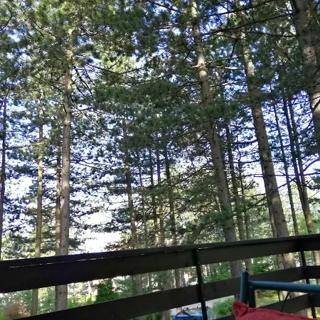 Vera * Zlatibor