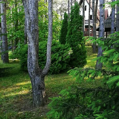 Vera Vikendica Zlatibor