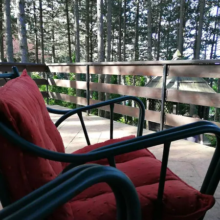 Vera Vikendica Zlatibor