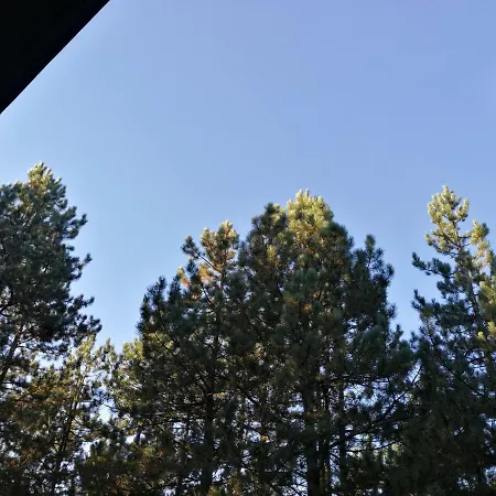 Casa vacanze Vera Zlatibor