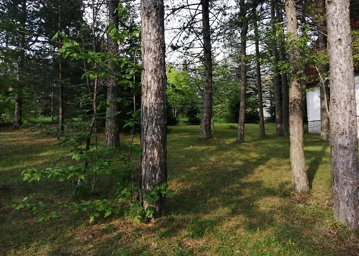 Vera Prázdninový dům