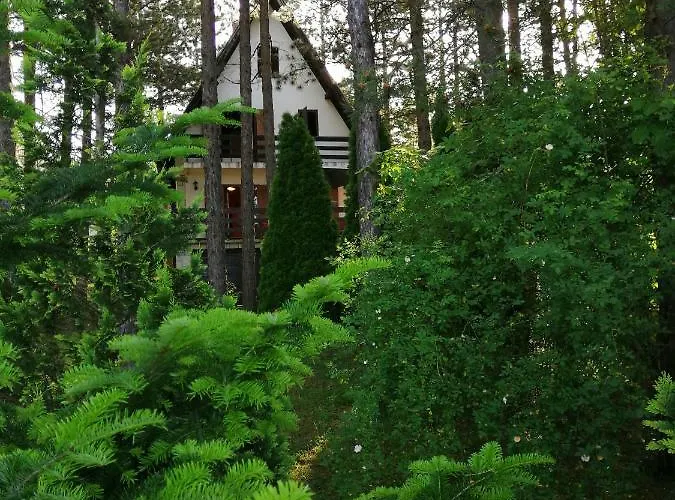 Prázdninový dům Vera