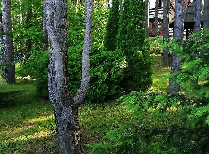 Vera Prázdninový dům Zlatibor