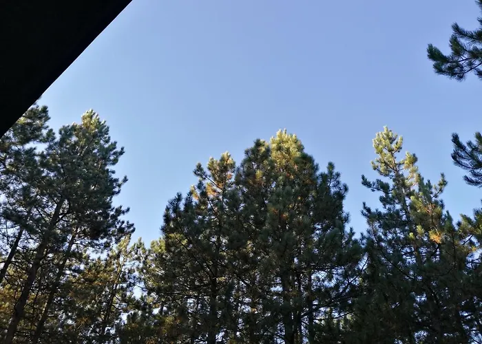 Prázdninový dům Vera Zlatibor